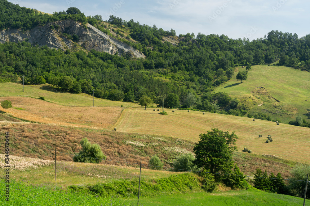 Summer landscape near Bagno di Romagna, in the Appennino