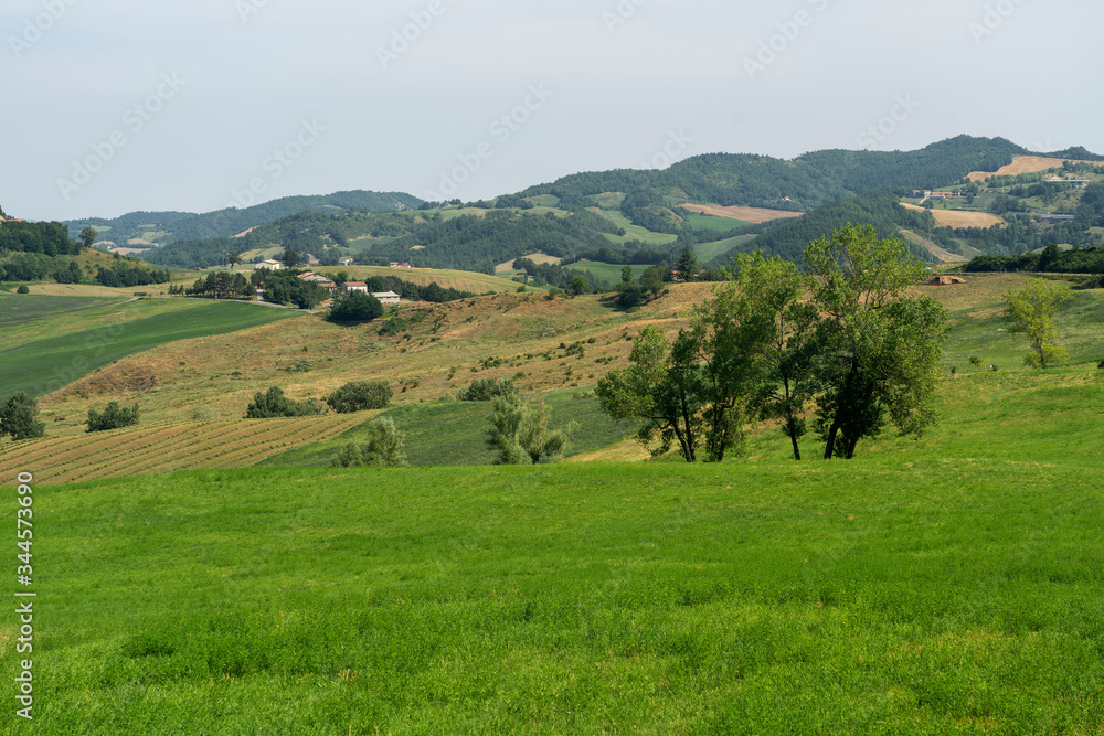 Obraz premium Summer landscape near Bagno di Romagna, in the Appennino