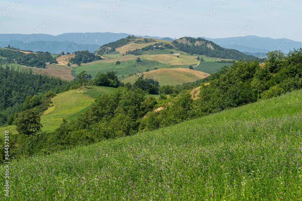 Fototapeta premium Summer landscape near Bagno di Romagna, in the Appennino