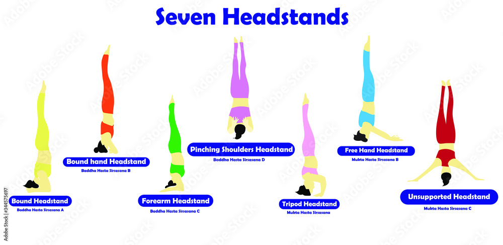 vector illustration of seven headstands variation.Yoga inversion poses