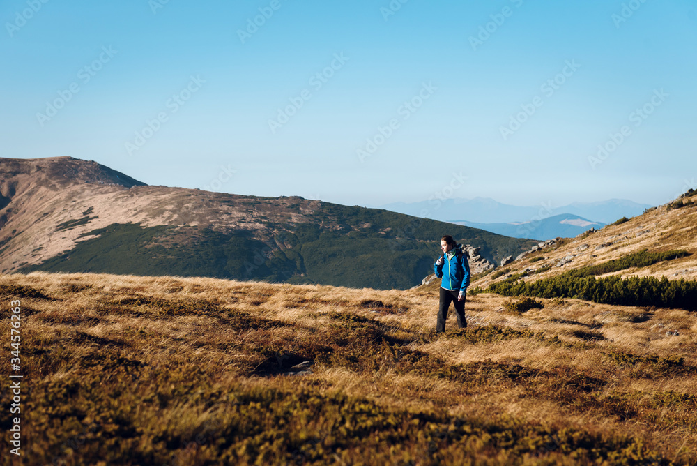 A woman in a blue jacket with a backpack walks the trail at the top of the mountain. Mountain hike in the Carpathians, sunny spring day. Hiking concept