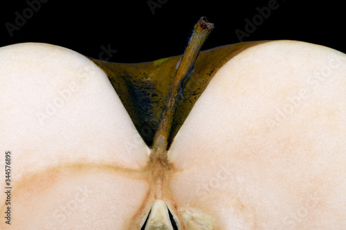 Canvas Print Apple bogatyr in a cross section with peduncle close up on a black background
