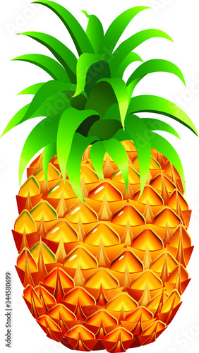 
Fresh summer alluring sweet pineapple