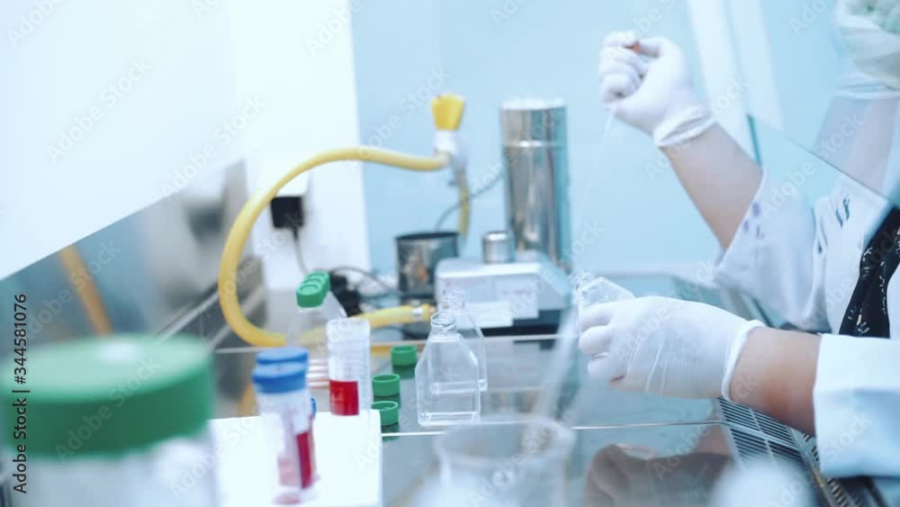 scientist using dropper pipette transfer sample in Biosafety cabinet scientist using dropper pipette transfer sample in Biosafety cabinet