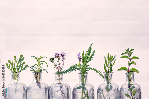 Bottle of essential oil with herbs  oregano, rosemary, lavender flower, Rue herb ,thyme  set up on white background. photo
