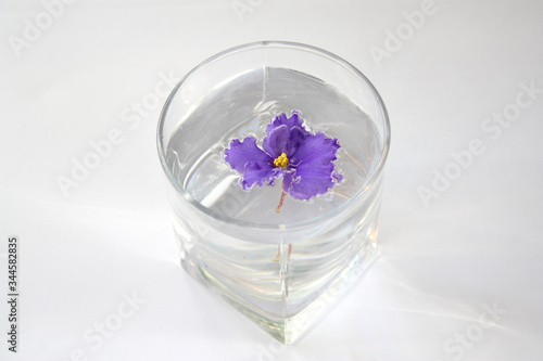 Blue flower float in the water. Violet in a glass cup. Close-up.Selective focus.