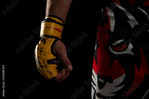 Mixed martial arts fighter.