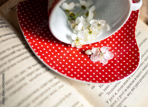 flowers in a cup, the first flowers, flat flowers, April