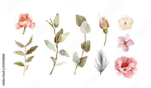 Set of hand painted watercolor flowers in soft green colors