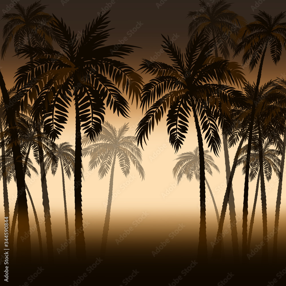 Tropical palm trees in the haze of dawn. Or sunset