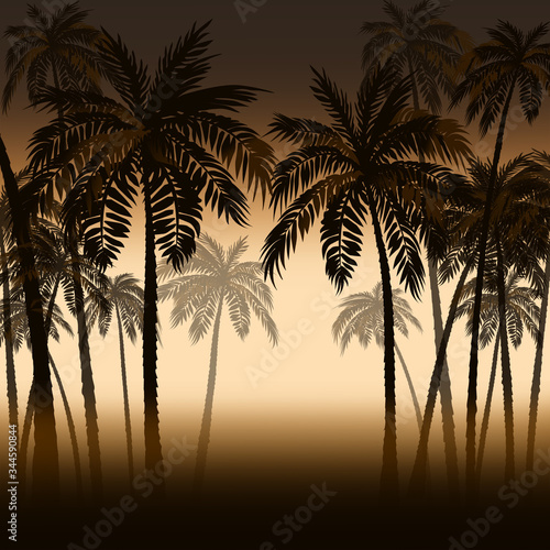 Tropical palm trees in the haze of dawn. Or sunset