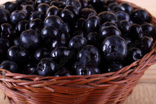 Wallpaper Mural Blueberry harvest Torontodigital.ca