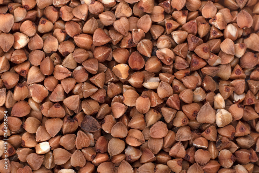 Dry buckwheat in daylight close-up Dry buckwheat in daylight close-up