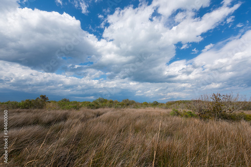 Clouds passing over the marsh at Back Bay National Wildlife Refuge