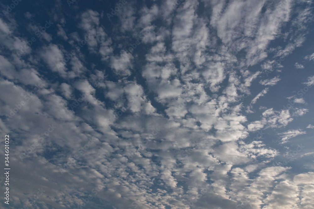 Blue sky altocumulus cloud landscape