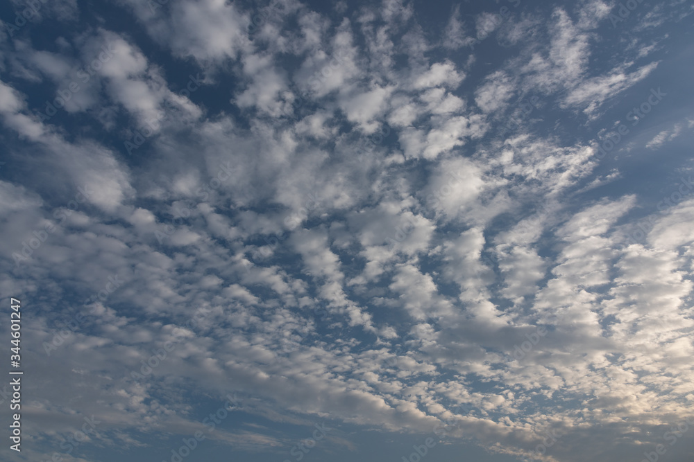 Blue sky altocumulus cloud landscape