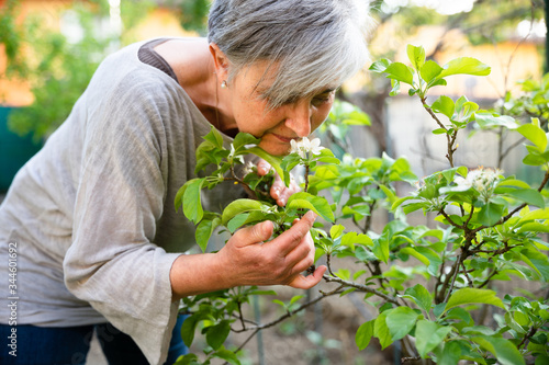 Friendly adult woman sniffs the flowers of a newly flowering plant in her urban garden waiting for the birth of the fruits for harvest - Ecological and sustainable