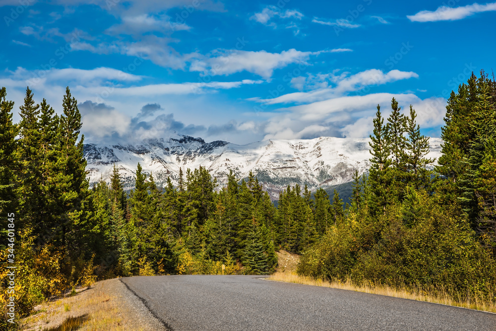 Fototapeta premium The road goes among the mountains