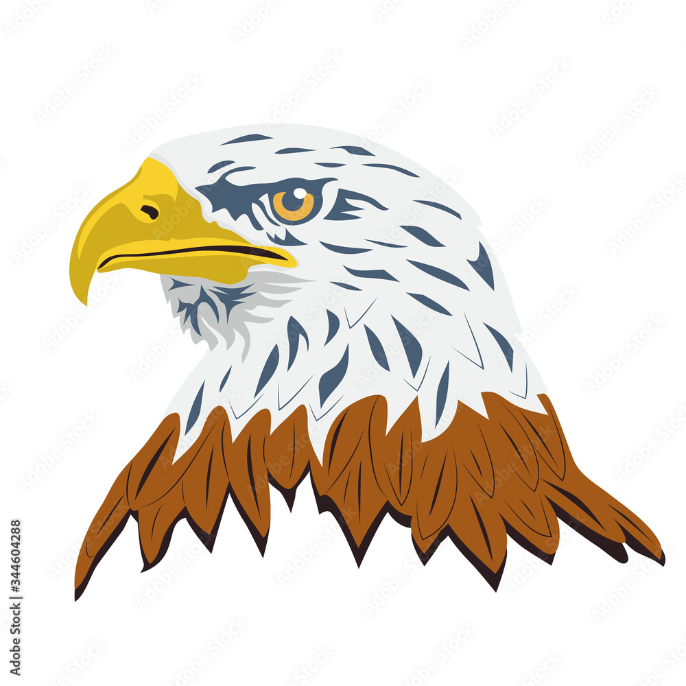 Fototapeta premium Portrait of a bald eagle, isolated on white background. Vector
