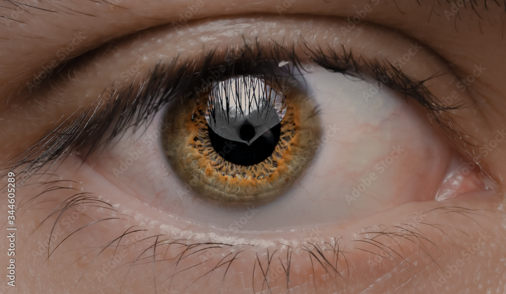 Naklejka premium close up of eye