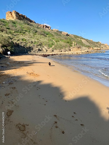 Black Dog runs in Tuffieha Bay beach 