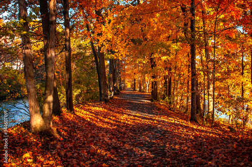 Fall Foliage at Feeder Dam Canal Glens Falls Upstate New York path road © James Casil