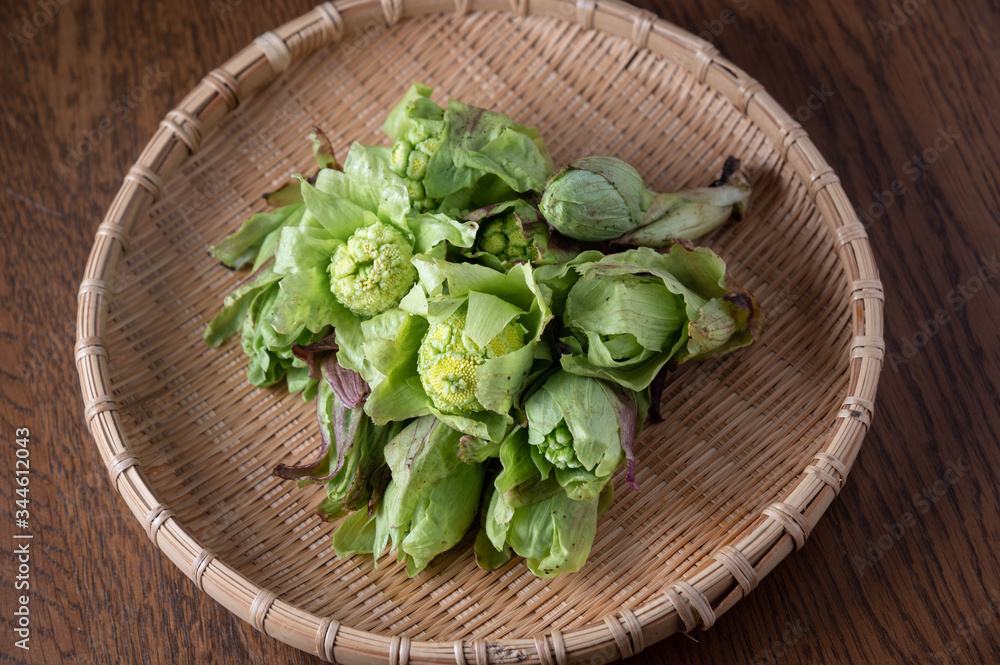Fuki shoots, japanese butterbur for tempura Fuki shoots, japanese butterbur for tempura