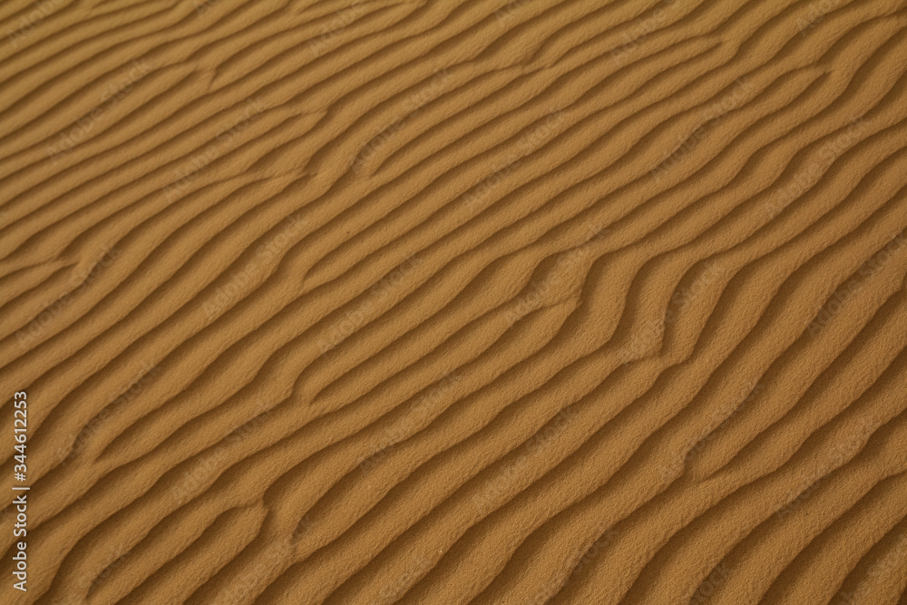 Sahara desert Sahara desert