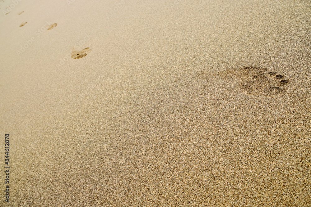 Human footprints in the sand. Track of somebody walking on the beach. Human footprints in the sand. Track of somebody walking on the beach.