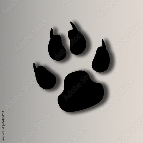 impronta animale 