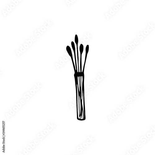 Black and white doodle vases with decor. Hand-drawn image for websites, banners, cards, designers. photo