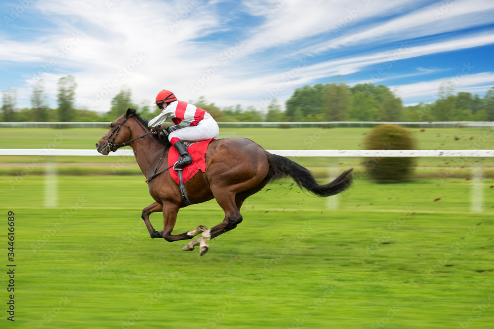 Race horse with jockeys on the home straight. Shaving effect. Race horse with jockeys on the home straight. Shaving effect.