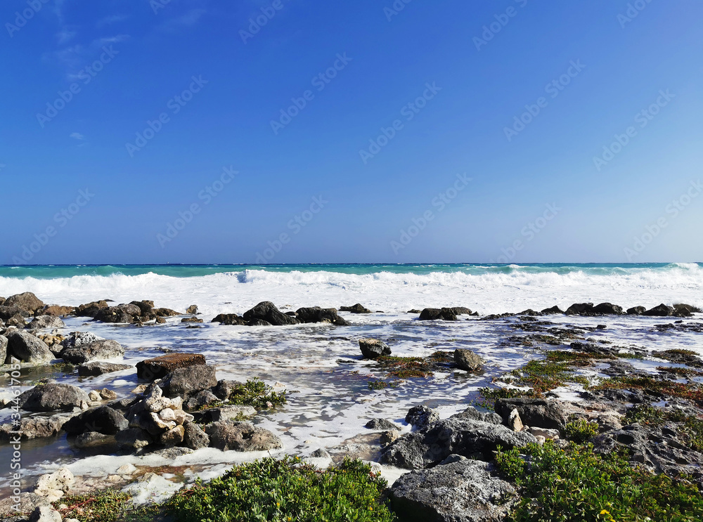 Foamy beach with crashing waves from the Ocean and green plants from Riviera Maya located in the Mexican state of Quintana Roo.