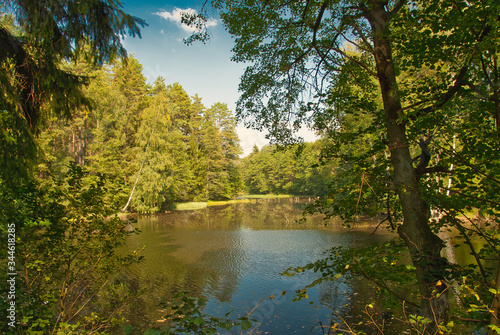 .Mid-forest lake in summer