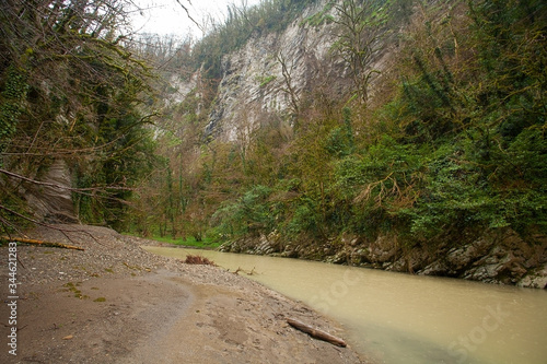 beautiful forest mountain landscape in autumn in sochi in boxwood grove