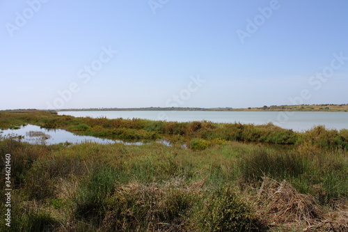 Vendicari  laghi di vendicari  sicilia  siracusa