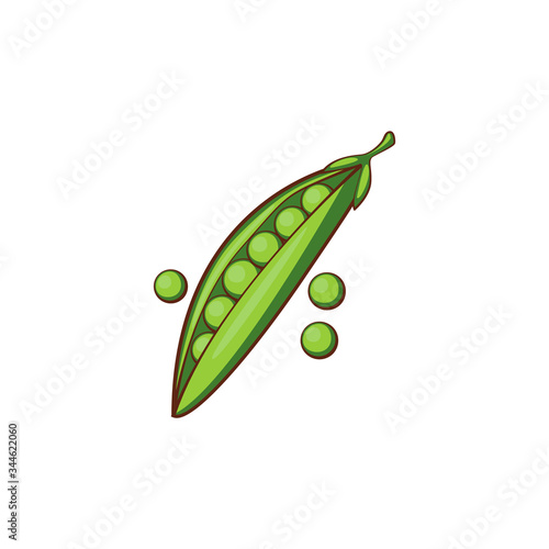 Peas vector illustration isolated on white,  Healthy food illustration