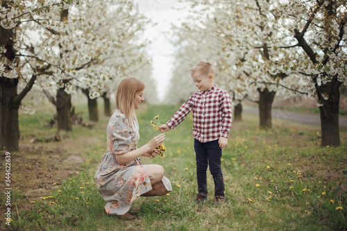 Mom with her son in a blooming garden. Walk with baby in nature in spring. Garden in Grojcu. © ibilyk13