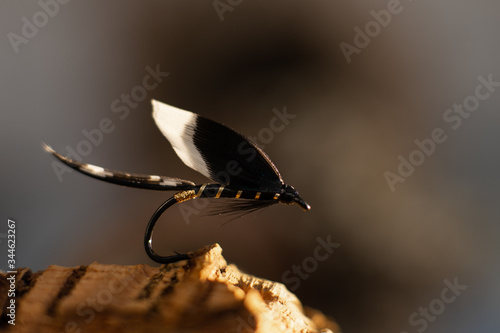 Obraz na płótnie Traditionally classic wet fly shot against a wood background w salonie