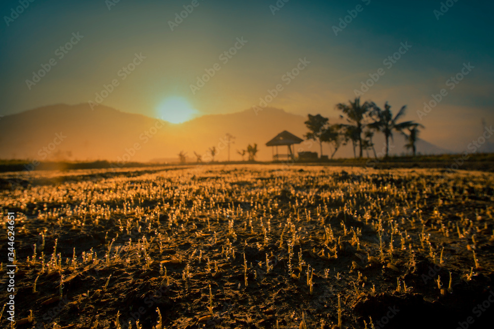 sunset view on village