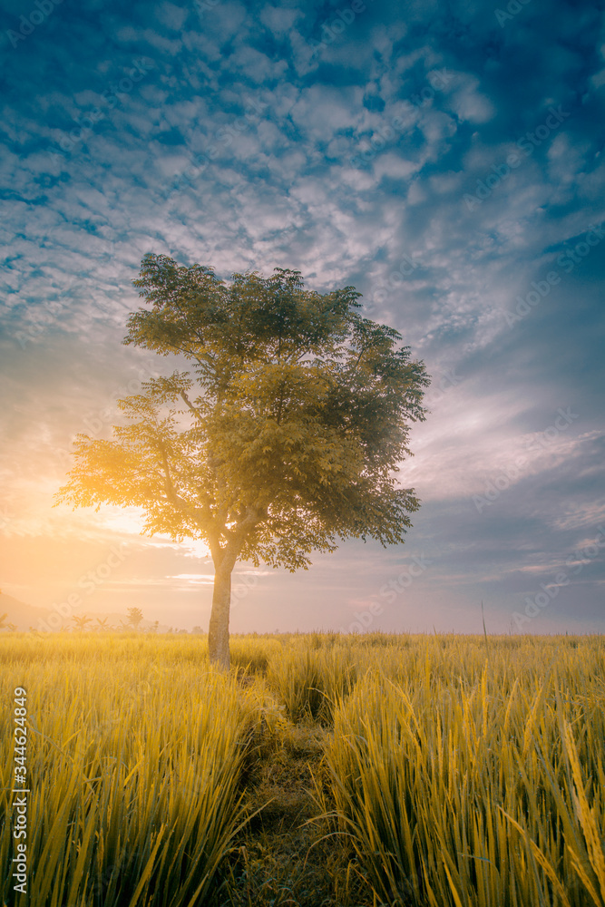 sunset view on village