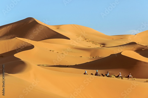landscape of camel riding in golden sahara desert