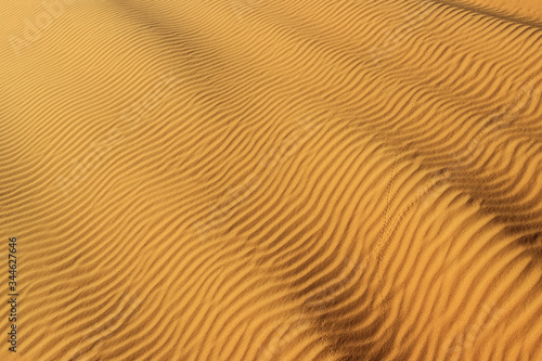 natural sand waves in golden Sahara desert  © cceliaphoto