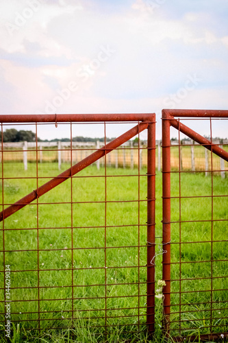 green grass by the gate © Leslie