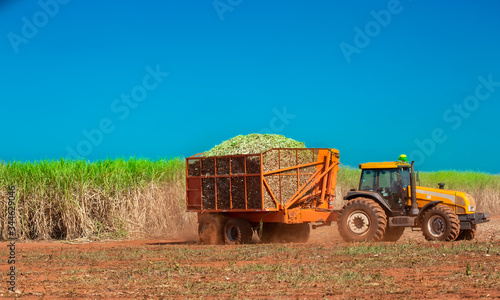 Overfilled tractor carrying sugar cane
