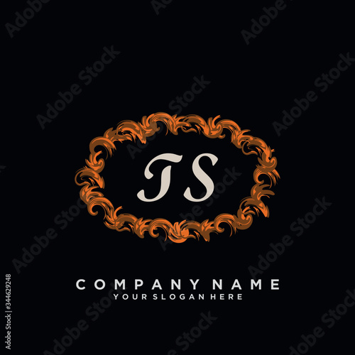 Initial Letter TS Logo With circle Template Vector