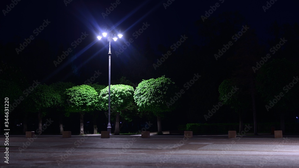 Night view of lights and round trees with flowers in front