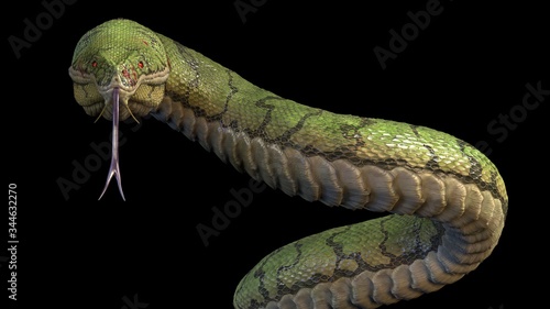 Konstfotografi A large green snake. 3d rendering