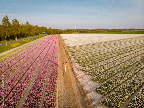 Tulip fields in the Netherlands, couple men and woman in flower field during Spring in the Nethertlands photo