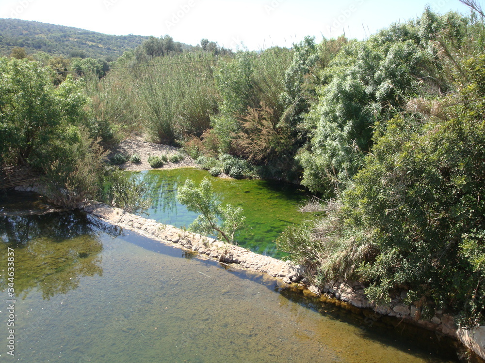 Fototapeta premium a